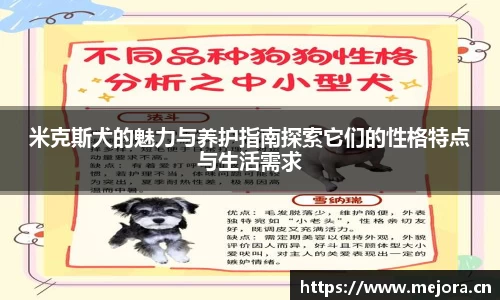 天美娱乐