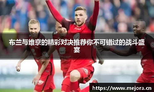 布兰与维京的精彩对决推荐你不可错过的战斗盛宴